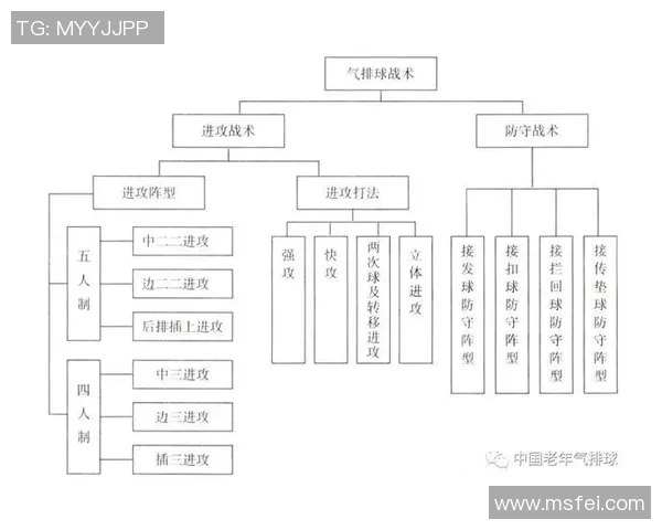 杭州排球队进攻策略分析与战术创新探讨