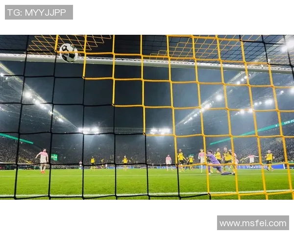 德国与喀麦隆足球实力对比谁能在比赛中胜出分析