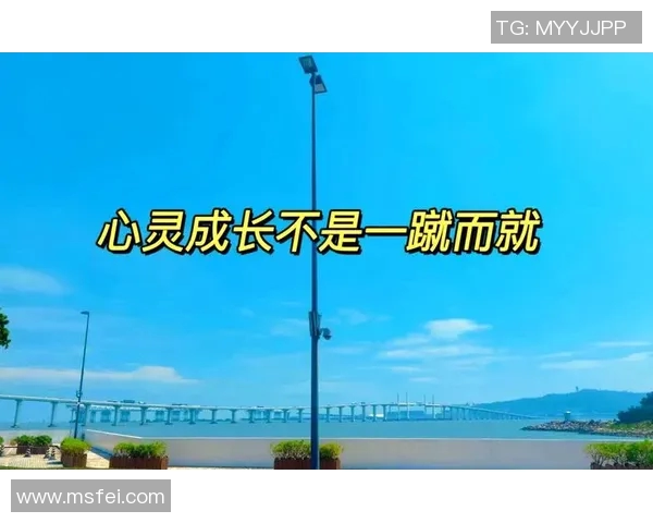 景菡一的成长之路与心灵探索：从青涩到成熟的蜕变旅程