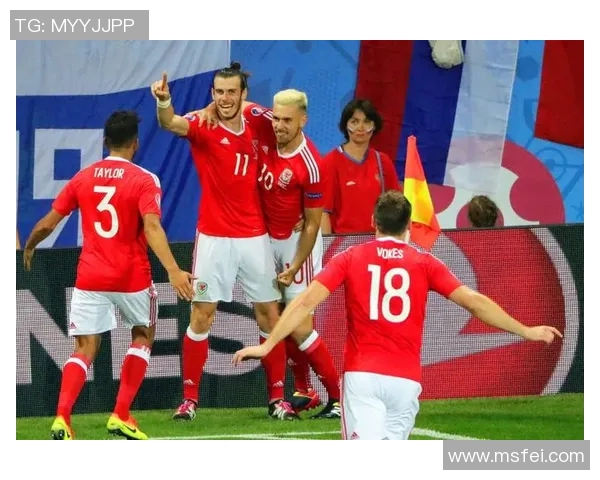 爱尔兰与芬兰激战正酣比赛直播全程回顾与精彩瞬间分析