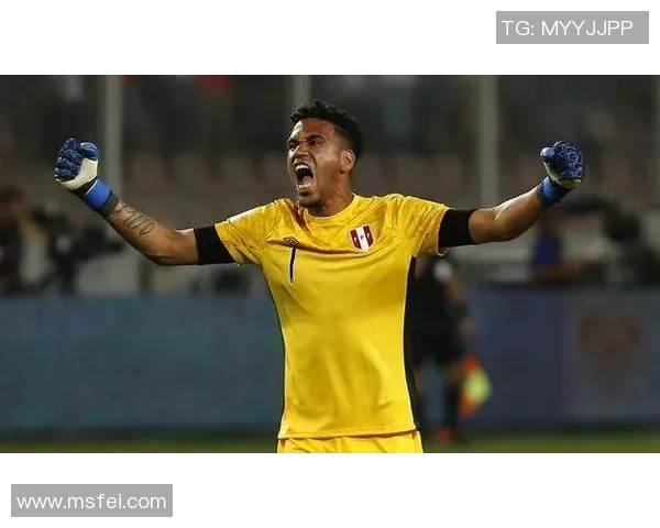 维拉与美洲狮的激烈对决谁能在这场比赛中脱颖而出