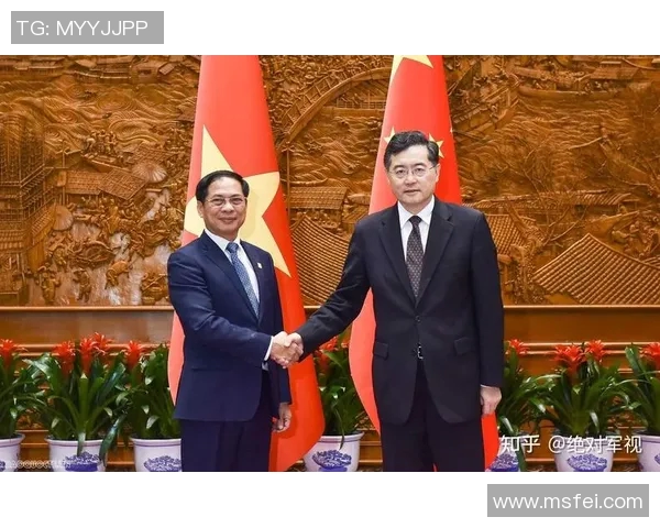 赖斯的外交智慧与全球影响力的深远探讨与分析