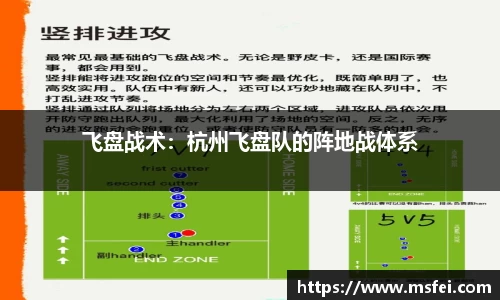 飞盘战术：杭州飞盘队的阵地战体系
